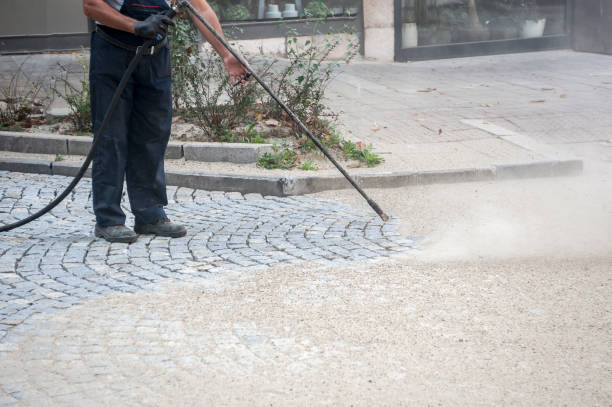Best Roof Cleaning and Mildew Removal in Frankfort, OH